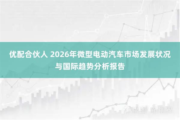 优配合伙人 2026年微型电动汽车市场发展状况与国际趋势分析报告