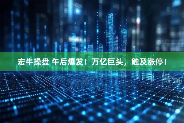 宏牛操盘 午后爆发！万亿巨头，触及涨停！