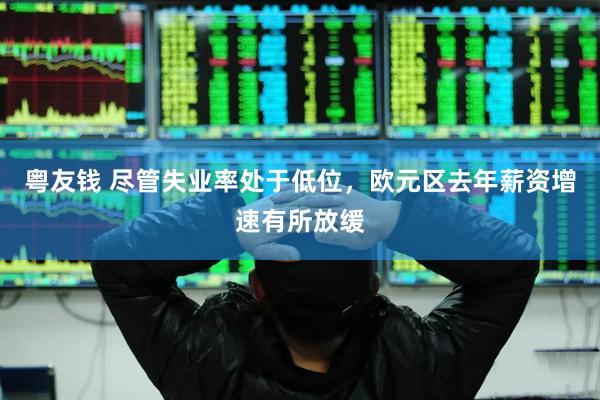 粤友钱 尽管失业率处于低位，欧元区去年薪资增速有所放缓