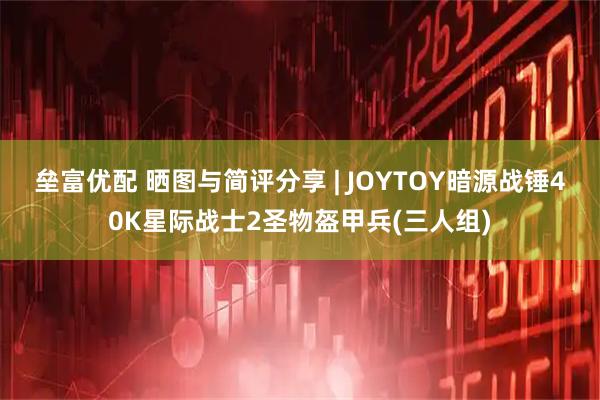垒富优配 晒图与简评分享 | JOYTOY暗源战锤40K星际战士2圣物盔甲兵(三人组)