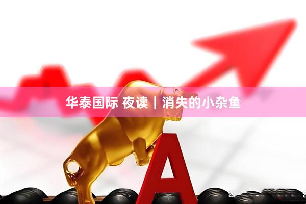 华泰国际 夜读｜消失的小杂鱼