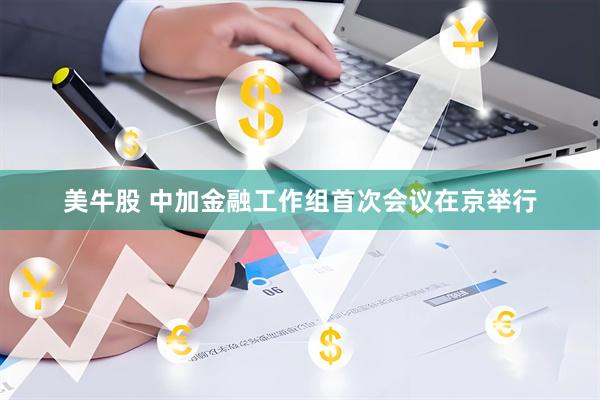 美牛股 中加金融工作组首次会议在京举行