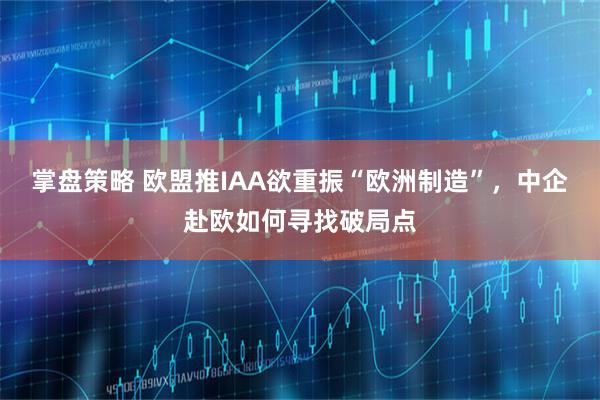 掌盘策略 欧盟推IAA欲重振“欧洲制造”，中企赴欧如何寻找破局点