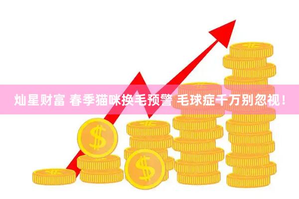 灿星财富 春季猫咪换毛预警 毛球症千万别忽视！