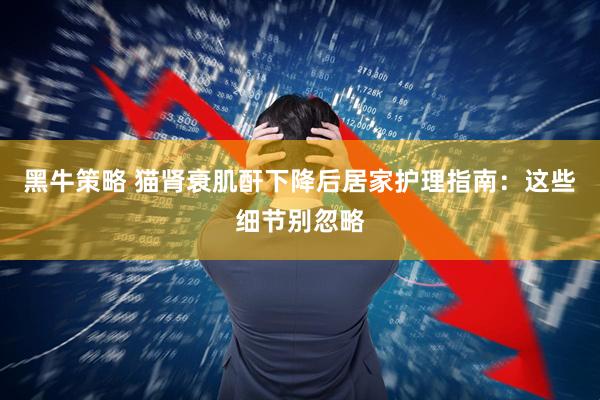 黑牛策略 猫肾衰肌酐下降后居家护理指南：这些细节别忽略