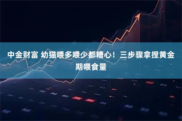中金财富 幼猫喂多喂少都糟心！三步骤拿捏黄金期喂食量