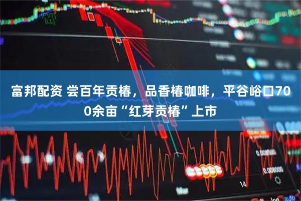富邦配资 尝百年贡椿，品香椿咖啡，平谷峪口700余亩“红芽贡椿”上市