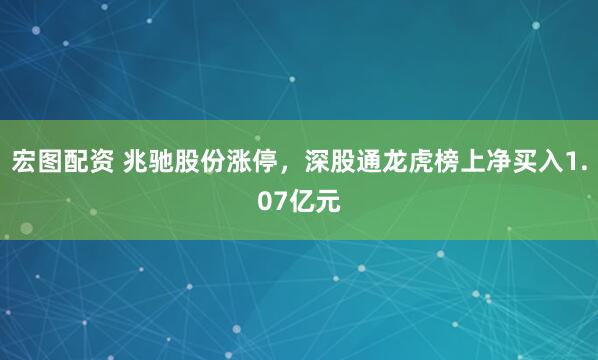 宏图配资 兆驰股份涨停，深股通龙虎榜上净买入1.07亿元