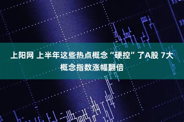上阳网 上半年这些热点概念“硬控”了A股 7大概念指数涨幅翻倍