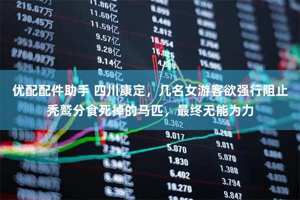 优配配件助手 四川康定，几名女游客欲强行阻止秃鹫分食死掉的马匹，最终无能为力